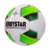 Derbystar Futsal Basic Pro TT