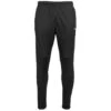 Centro Fitted Pants